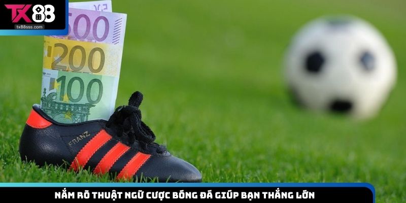 Nắm rõ thuật ngữ cược bóng đá giúp bạn thắng lớn